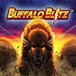 Buffalo Blitz